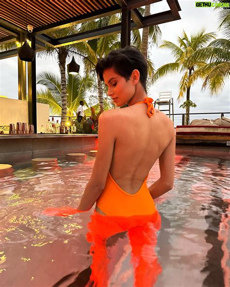 Gilles Bernier: Biography and Professional Overview 19