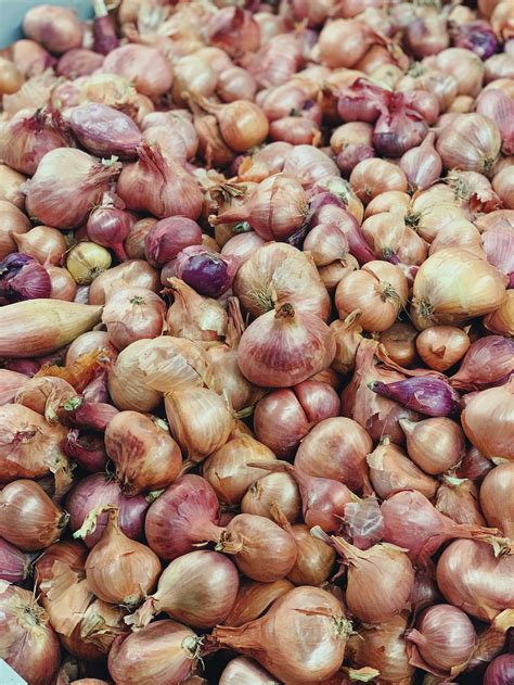 La Salle Shallots — Strohauer Farms
