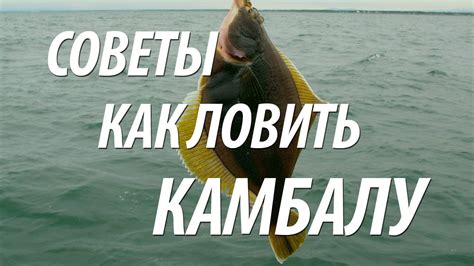 РЫБА КАМБАЛА ЛОВЛЯ С БЕРЕГА. МОРСКАЯ РЫБАЛКА НА КАМБАЛУ - YouTube