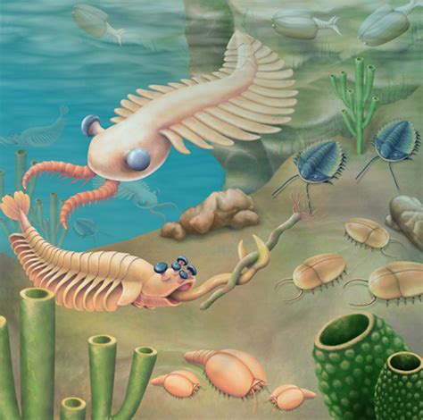Precambrian True or False