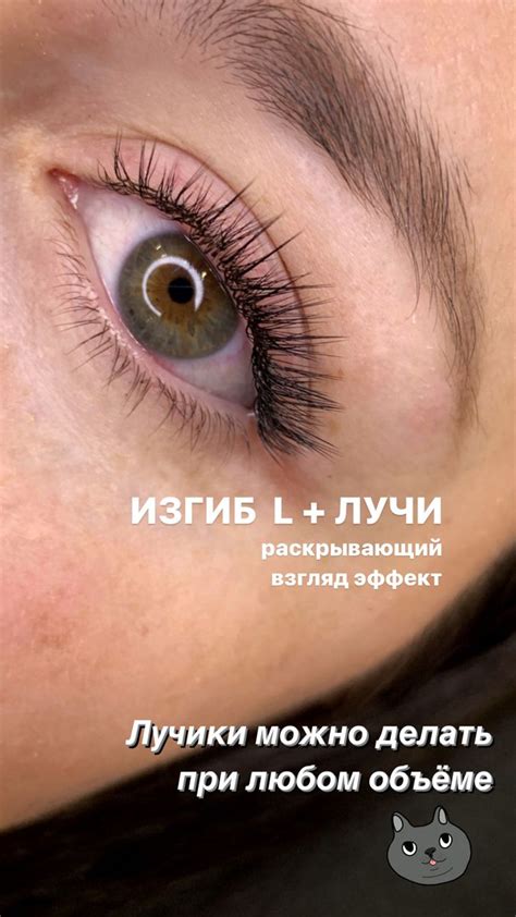 Наращивание ресниц L изгиб | Ресницы, Макияж ореховые глаза, Длинные ...