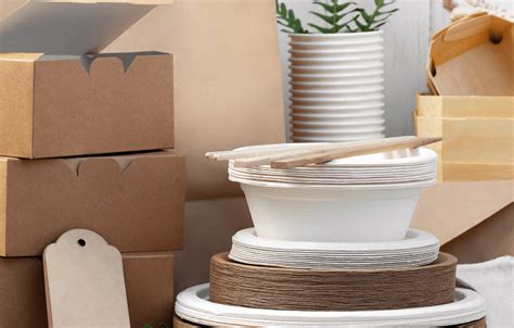 Eco-Friendly Products | Sustainable Choices at Maadho