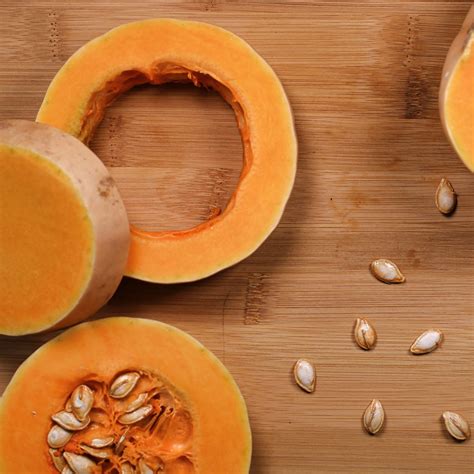 Fall Favorites Collection #1 – Boise Backyard Gardens