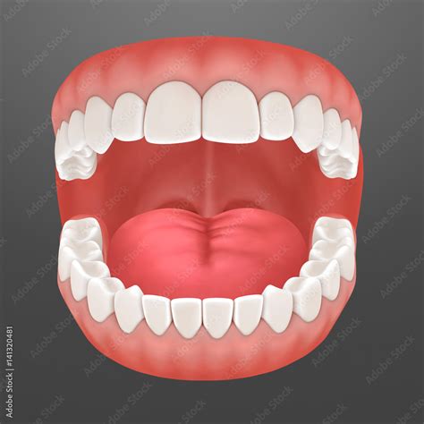 Open Human Mouth