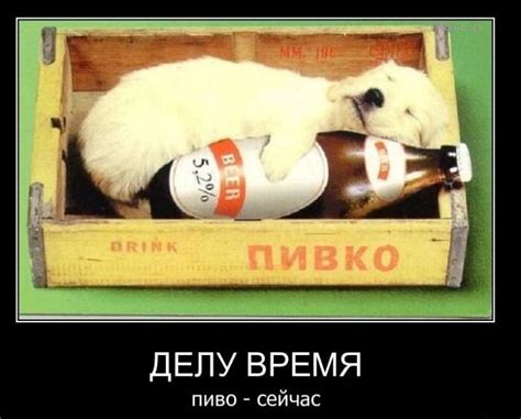200 фото смешных алкашей