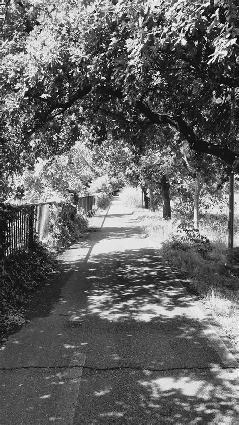 Black+Girl,+Double+Penetrated Videos, Download The BEST Free 4k Stock