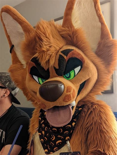 ultimate guide     types  fursuits artofit