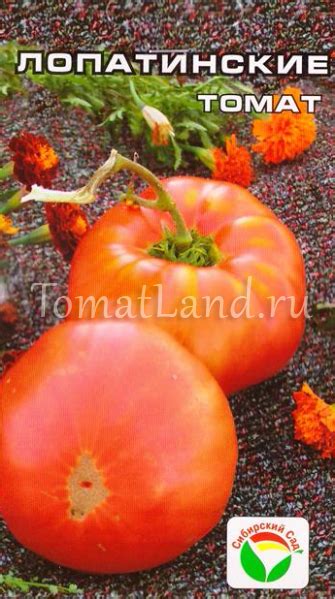 Томат Лопатинские: описание сорта, отзывы, фото, урожайность и ...