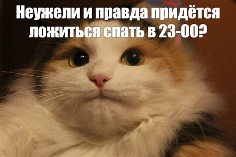 Создать мем "кот мем в шапке врача, кот в колпаке, памагити мем кот ...