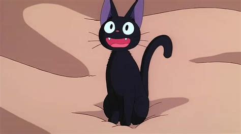 Black Cat Anime Characters