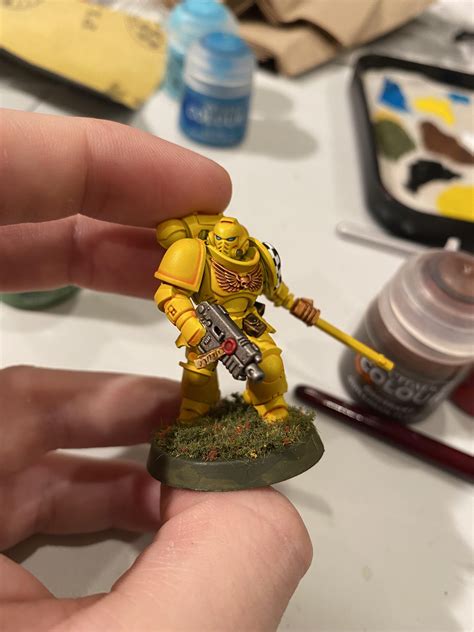 For those we cherish… My first Lamenter! : r/Lamenters