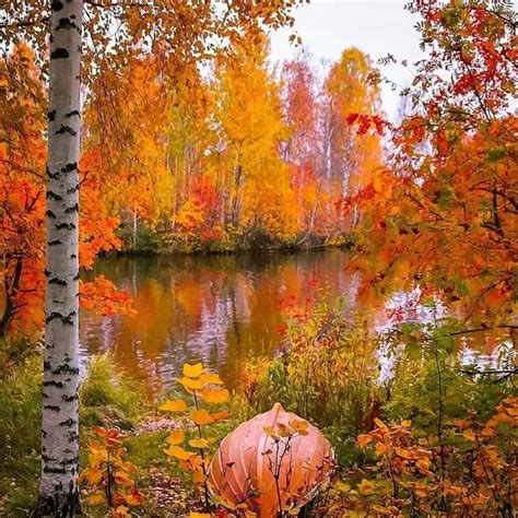 ПРИРОДА|ПЕЙЗАЖИ 🔥 (@priroda_view) posted on Instagram • Oct 1, 2021 at ...