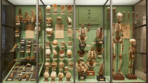 Medical Museion | Visitcopenhagen