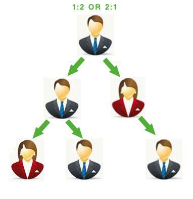 binary mlm software development company  ahmedabad binary mlm
