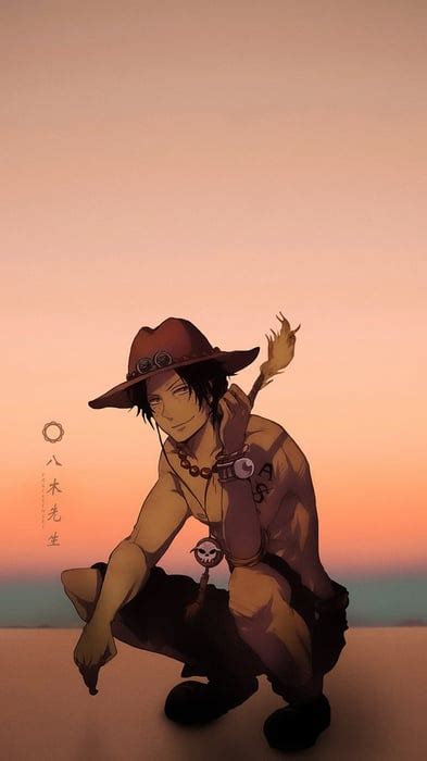 ace  piece wallpapers exquisite collection