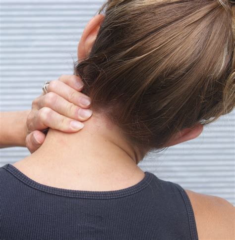 What is the neck? – ouestny.com
