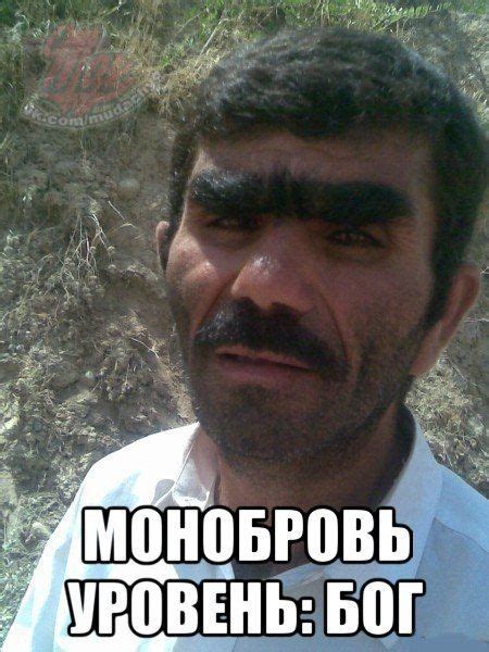 монобровь | Bad eyebrows, Unibrow, Funny images laughter