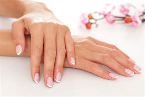 hand model     hand model