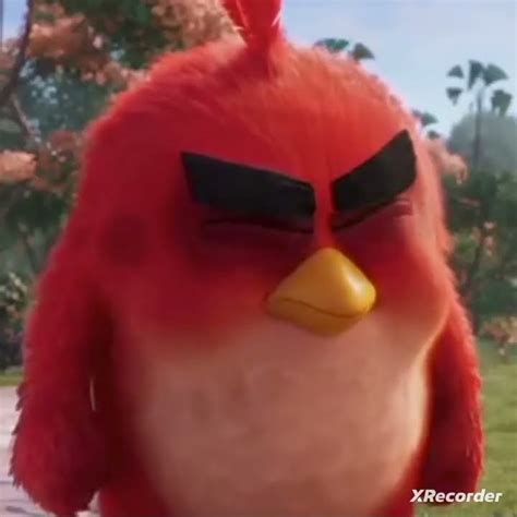 angry bird youtube