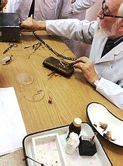 Category:First Pavlov State Medical University of St. Peterburg ...