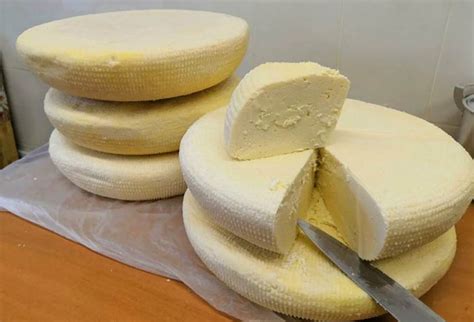 Белый сыр: как называется, виды круглый, соленый, мягкий, с плесенью