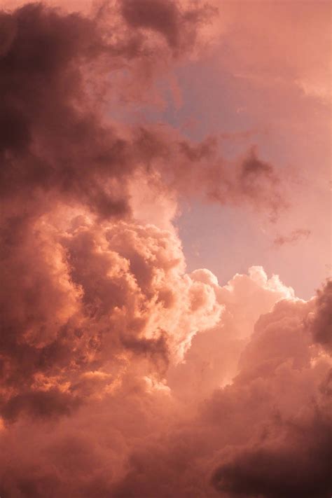 orange and pink aesthetic 6