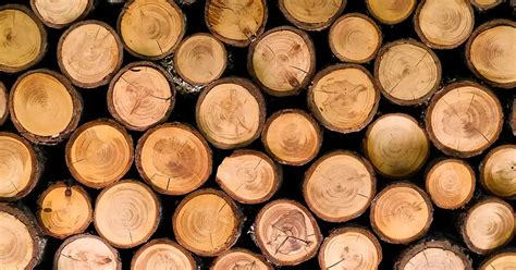 Why Lignin Extraction Usually Comes with a Catch | Heat Management