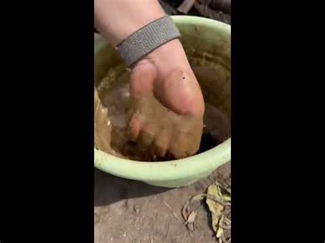 #семена #сад #дача #семенаалтая - YouTube