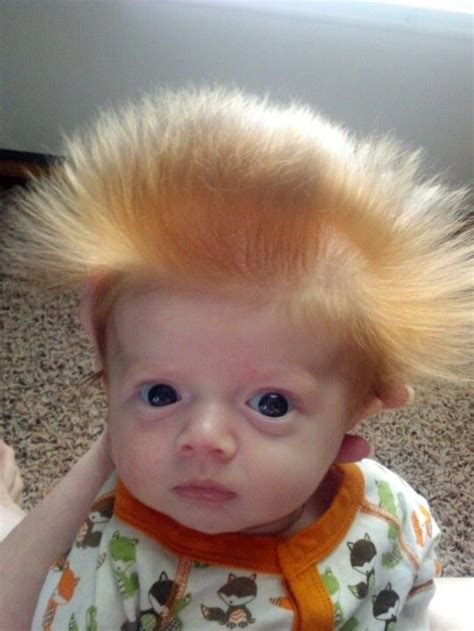 Ugliest Baby Animals Ever
