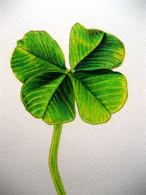 how to draw clover 7