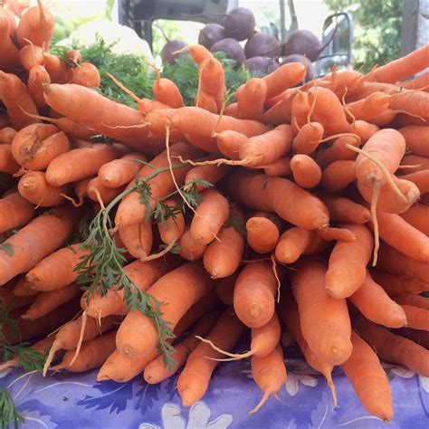 Безплатна снимка : храна, продукция, зеленчук, морков 2442x2442 ...