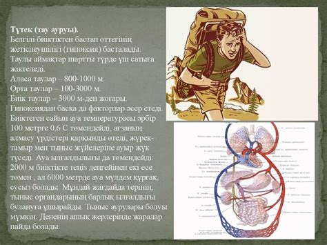 Гипоксия. Гипоксемия - презентация онлайн