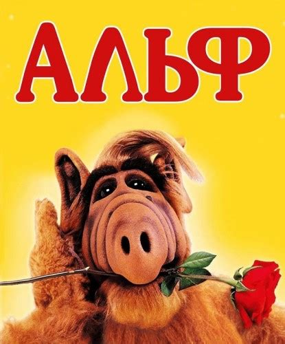 rutor.info :: Альф / ALF [S01-04] (1986-1990) DVDRip | P