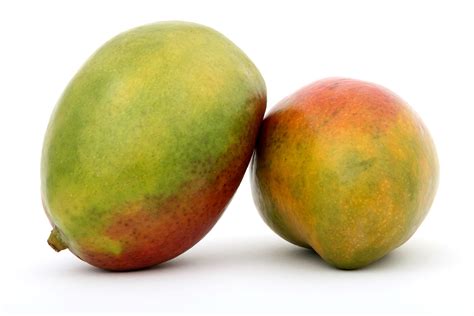 extraccion de antioxidantes  partir de la hoja de mango cultura