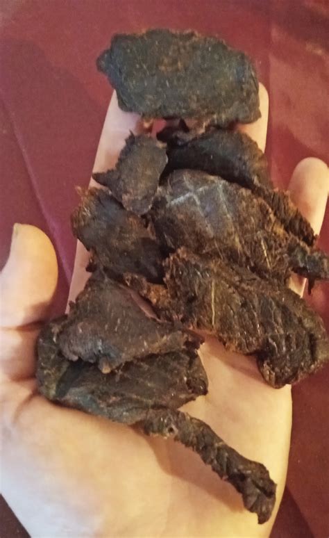 how to make deer jerky 1