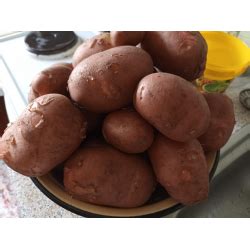 Отзыв о Картофель Картофельное хозяйство Им. А.Г. Лорха "Любава ...