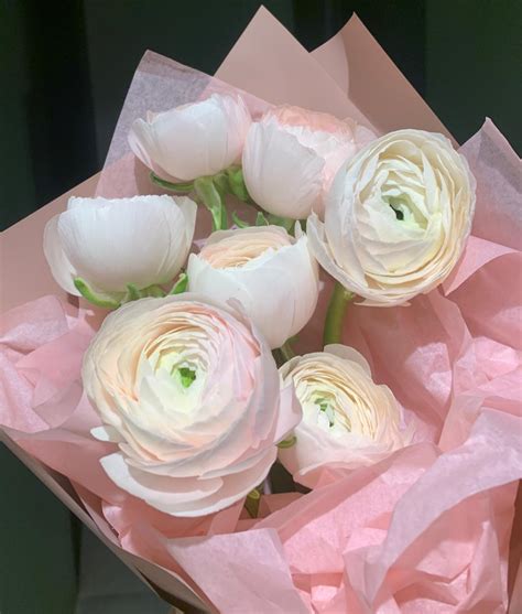 Розовые ранункулюсы - купить в СПБ с доставкой в Kraft Flowers