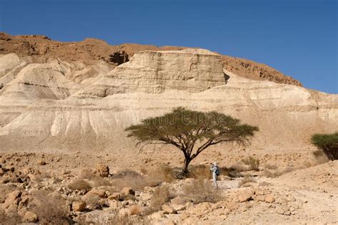 Paisaje Del Desierto De Judea Foto de archivo - Imagen de judea