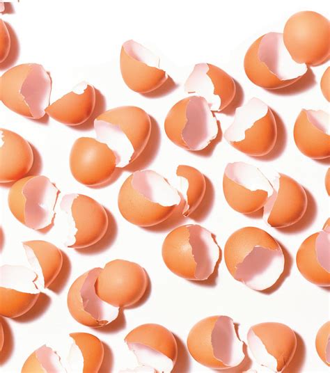 THE GREAT EGG SHOCK | Reason magazine - news - Read this story on