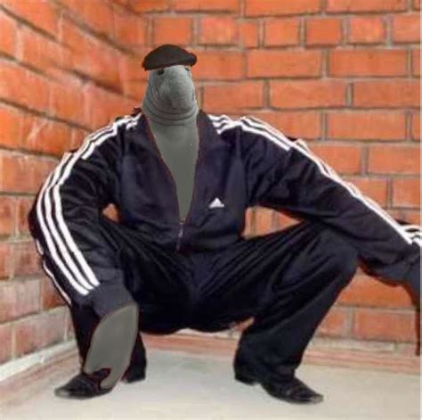 Snorp Squat | Zhdun / Snorp | Know Your Meme
