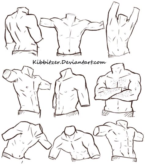 male torso reference sheet  kibbitzer  deviantart