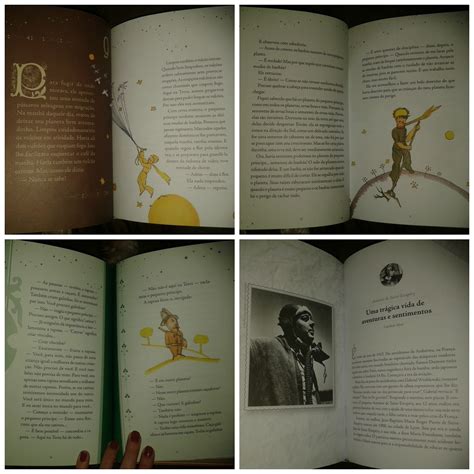 Livro O Pequeno Príncipe Resumo 2