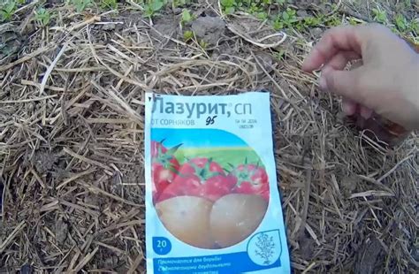 Лазурит от сорняков на картошке ?: инструкция, отзывы, обработка, фото ...