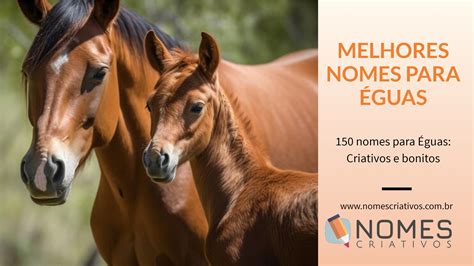 Nome Para Animais De Estimação - 400 nomes para animais de estimação - Nomes Criativos