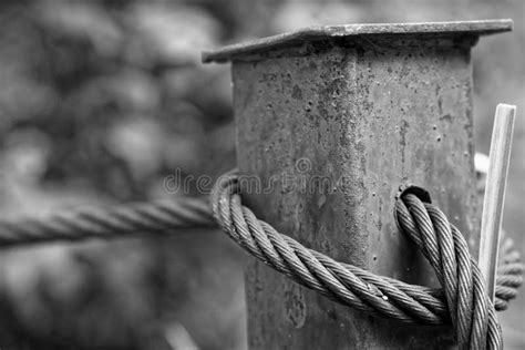 Thick Steel Rope Close Up. Bridge Fence Element. Detailed View. the ...