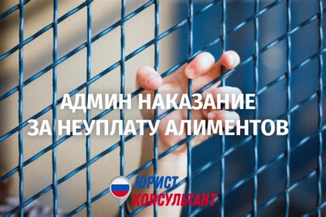 Административная ответственность за неуплату алиментов в 2025 году