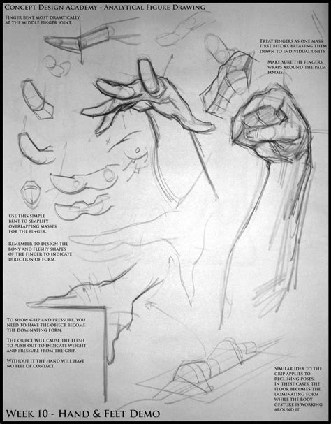 Новости | Figure drawing, Anatomy reference, Anatomy art