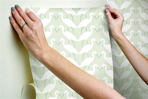 Elegant Birds Beige Peel & Stick Wallpaper by York Wall | Decorilla