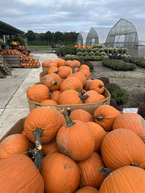 Southamp... - Southampton Historical Society - New Jersey, USA
