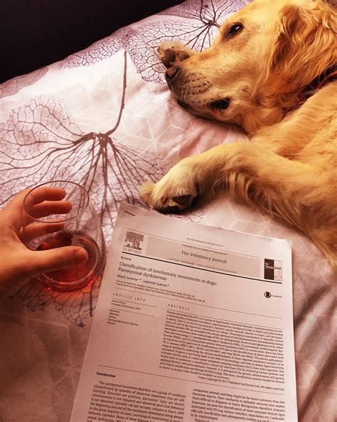 The Veterinary Perspective